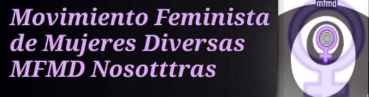 Movimiento feminista de mujeres diversas